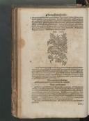 Seite 116
