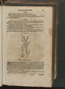 Seite 129