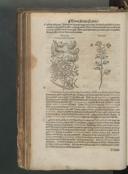 Seite 144
