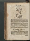 Seite 146