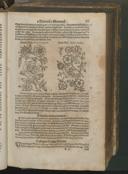 Seite 151