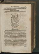 Seite 161