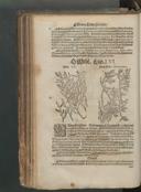 Seite 162