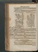 Seite 164