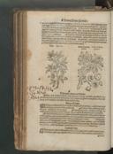 Seite 168