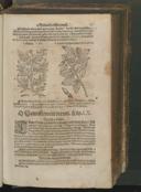 Seite 171