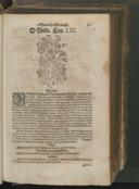Seite 173