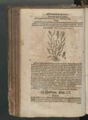 Seite 264