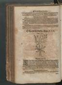 Seite 294