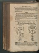 Seite 468