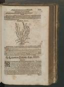 Seite 781