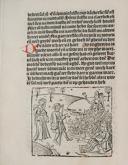 Seite 119