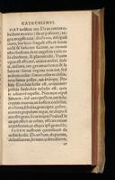 Seite 43