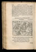 Seite 162