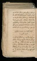 Seite 7